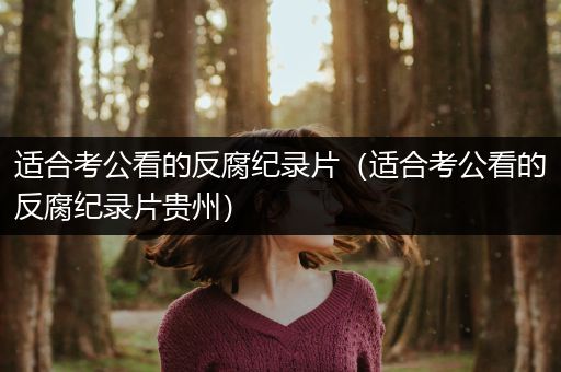 适合考公看的反腐纪录片（适合考公看的反腐纪录片贵州）