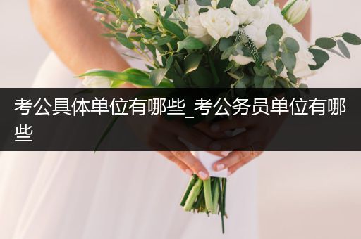 考公具体单位有哪些_考公务员单位有哪些