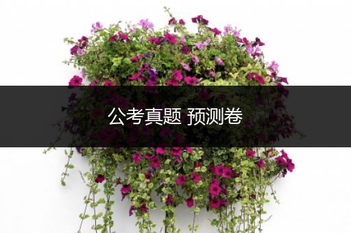 公考真题 预测卷