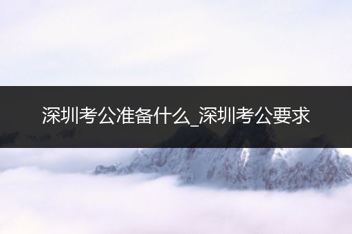深圳考公准备什么_深圳考公要求
