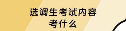 选调生考什么：选调生考试内容考什么